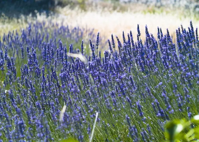 In With Sea View, Terrace, Air Conditioning, Wi-fi アパート *
