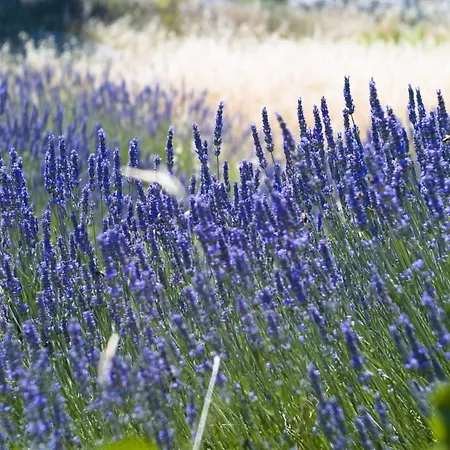 In With Sea View, Terrace, Air Conditioning, Wi-fi شقة *