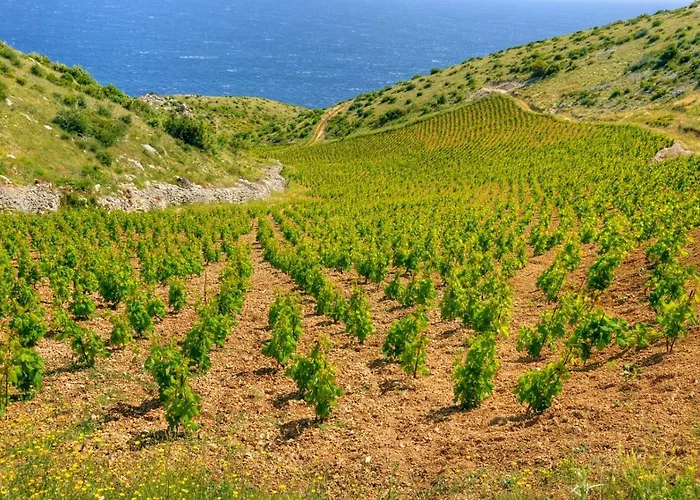 In With Sea View, Terrace, Air Conditioning, Wi-fi Hvar Town