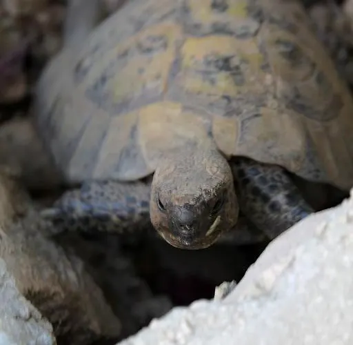 In With Sea View, Terrace, Air Conditioning, Wi-fi Daire