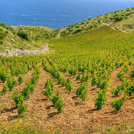 In With Sea View, Terrace, Air Conditioning, Wi-fi フヴァル