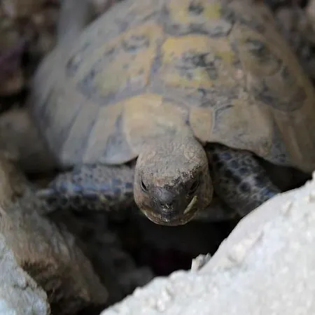 In With Sea View, Terrace, Air Conditioning, Wi-fi アパート